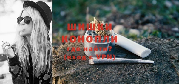 Альфа ПВП Шали