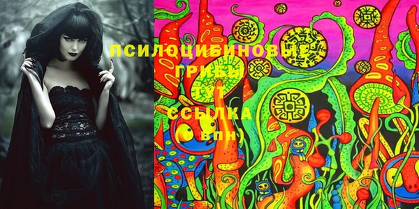 дмт Липки